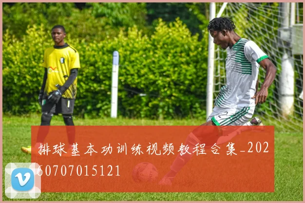 排球基本功训练视频教程合集_20260707015121